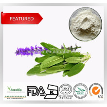 Best Price Chia Seed Extract, Sage Extract, Carnosic acid